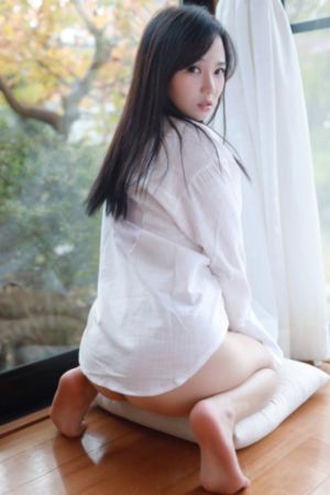 刺杀小说家免费观看完整版高清_国产剧免费观看